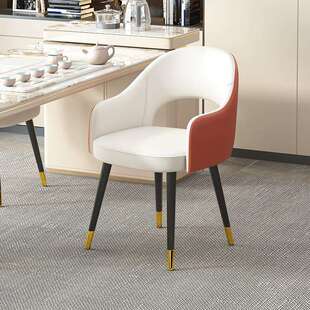 轻奢茶椅现代简约家用阳台茶桌椅子靠背高级舒适办公室泡茶主人椅