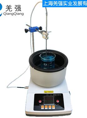 智能磁力搅拌加热锅ZNCL-GS系列/磁力搅拌器/水浴锅/油浴锅