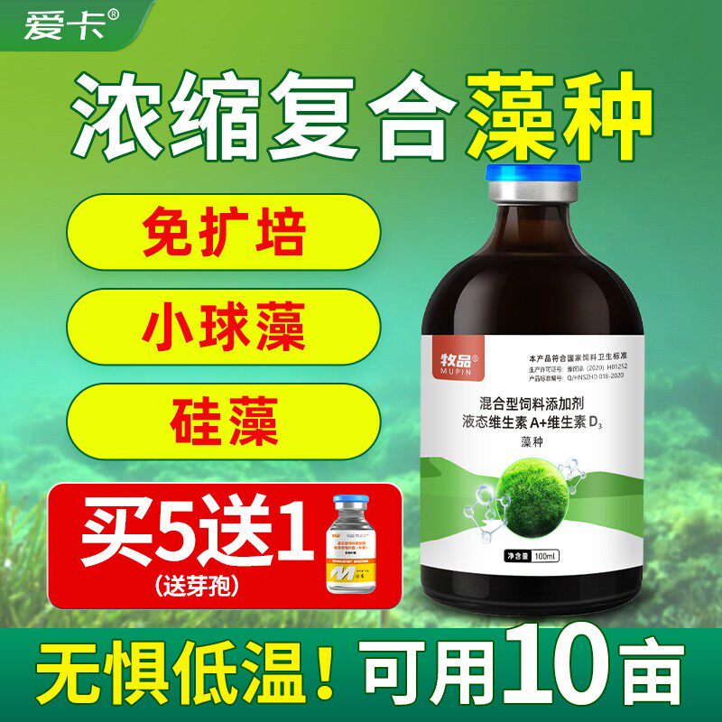 小球藻硅藻浓缩复合藻种免扩培耐低温鱼虾蟹苗开口料肥水增氧水产