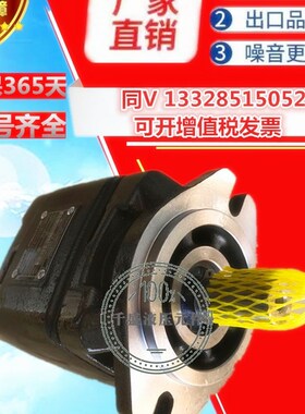 CP1-25-P-10R齿轮泵HG0/HG1-08 10 13 16 20 32 40 50 63-01R-VPC