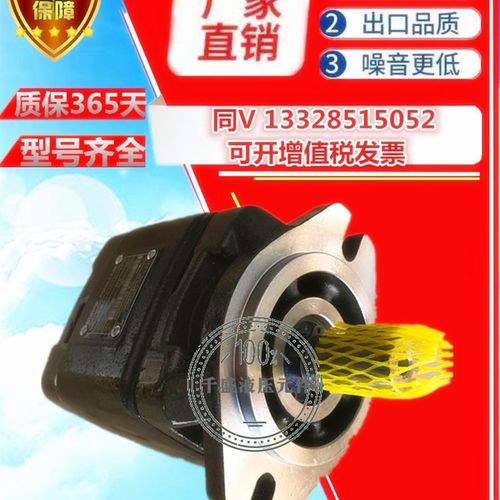 CP1-25-P-10R齿轮泵HG0/HG1-08 10 13 16 20 32 40 50 63-01R-VPC