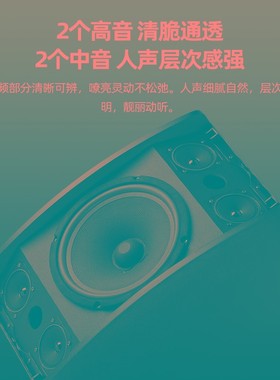 Y/雅桥 CS-450家庭ktv音响卡拉ok家用卡包音箱十寸无源木质