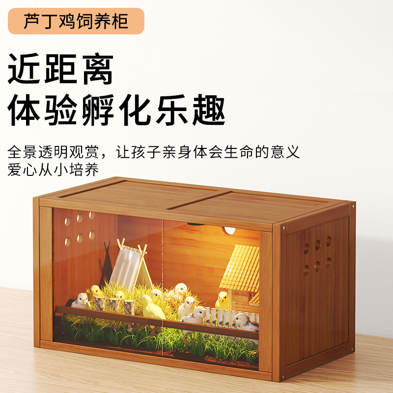 毛兔家芦丁鸡饲养箱宠物保温育雏箱爬宠守宫仓鼠饲养柜透明门鸟笼