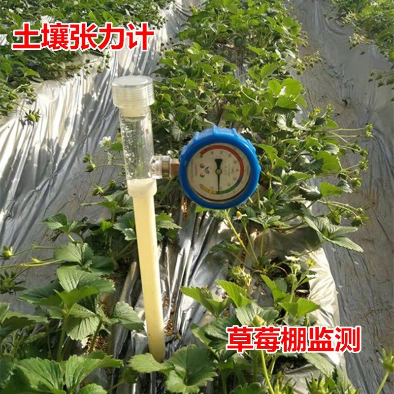 土壤张力计水势仪湿度检测仪负压计土壤灌溉传感器水分特征曲线