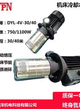 广东厂家液下泵三相德洋DYL4V30 750W 1HP机床冷却泵机床油泵