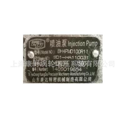 原装喷油泵BH4PMD100R11 HA110031 4QKZ41和4PMDF109A DHA100216