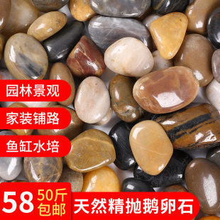 鹅卵石铺地造景大号小白石子路鱼缸庭院黑色雨花石彩色鹅暖石石头