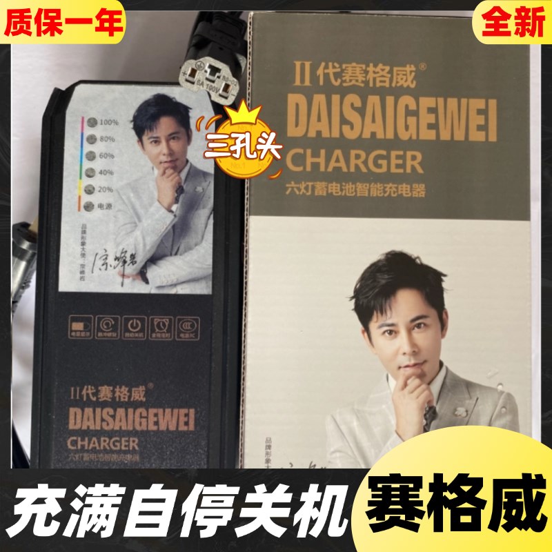 充满自停电动车充电器60V72V20二代赛格六灯脉冲智能原装铅酸三孔