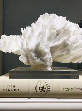 海印象简约珊瑚工艺品家居软装饰品创意摆件设计师酒店民宿摆设