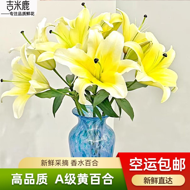 黄天霸香水百合花鲜花卉云南基地直发家用插花水培多头鲜切花花束