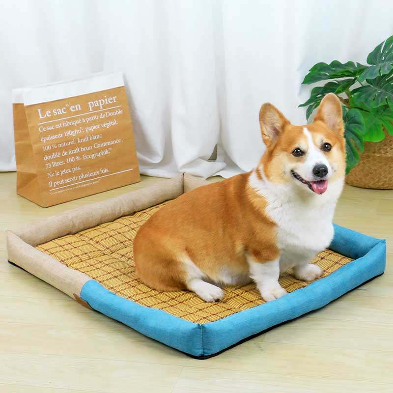 狗狗凉席狗窝睡觉的垫子凉席垫地垫夏天夏季用品柯基四季通用睡垫,宠物/宠物食品及用品,猫狗垫子,淘宝优惠券,粉丝福利购,淘宝优惠卷