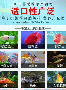 包邮盐滩冰冻丰年虾观赏鱼开口料中小型鱼虾蟹饲料大卤虫净重2斤