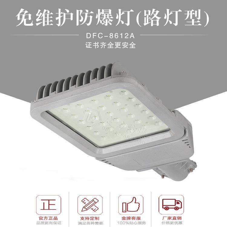隔爆型ExdIIC80W100W120WLED防爆路灯6米至8米路灯头超亮防爆认证