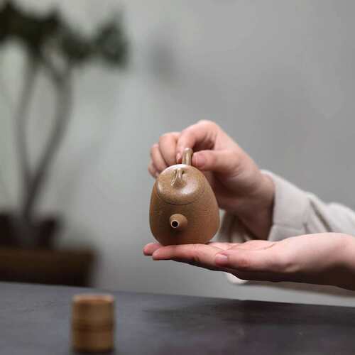 宜兴紫砂壶纯全手工原矿段泥高档紫砂茶壶产地直销 古秦权