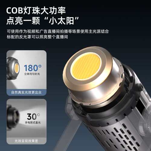 专业直播补光灯直播专用直播间灯光300W摄影服装人像拍摄打光灯