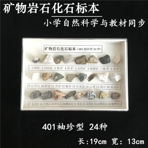 矿物岩石化石标本 24种岩石化石 小学科学配套 科普展示教学仪器