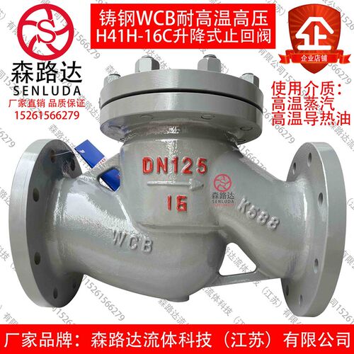 止回阀H41H-16C/25C升降式铸钢法兰止回阀蒸汽止回阀导热油止回阀