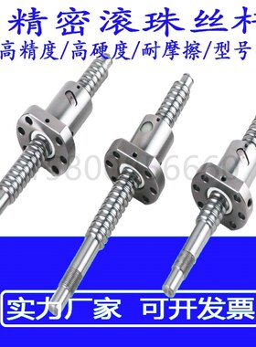 微型滚珠丝杆 螺母丝杠SFK0601 0801 0802 0802.5 1002 1004 1202