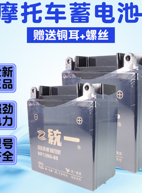 包邮建设摩托车电瓶125弯梁110摩托车电池12V4A5A7A9A天剑12n5-3b