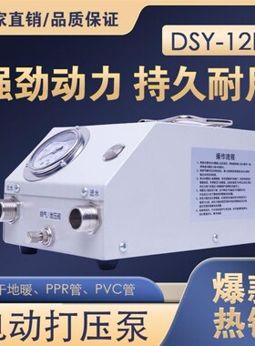 电动试压泵水压测漏ppr自来水管地暖高压打压机水管检测压手提式