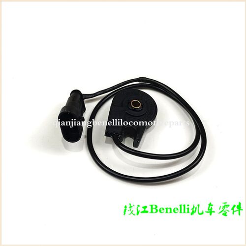 小暴龙BJ125-3E/3F/小金鹏251/BJ250-18/小幼狮BJ250单撑熄火开关