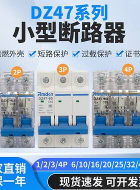 人民1P2P3P4P 空气开关220V家用C45小型断路器DZ47-63 6A-63A总闸