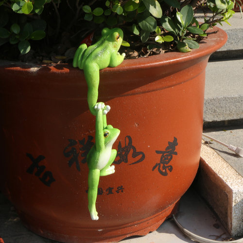创意仿真青蛙摆件微景观造景花盆园艺庭院挂件装饰品树脂工艺品