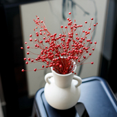 红果富贵豆干花花束真花客厅餐桌新年装 饰花艺摆件摄影道具胡麻果