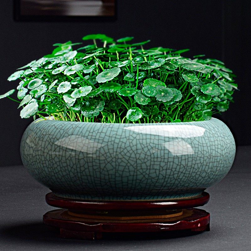 简约哥窑冰裂纹陶瓷水培水仙花盆铜钱草专用盆桌面碗莲大口径容器