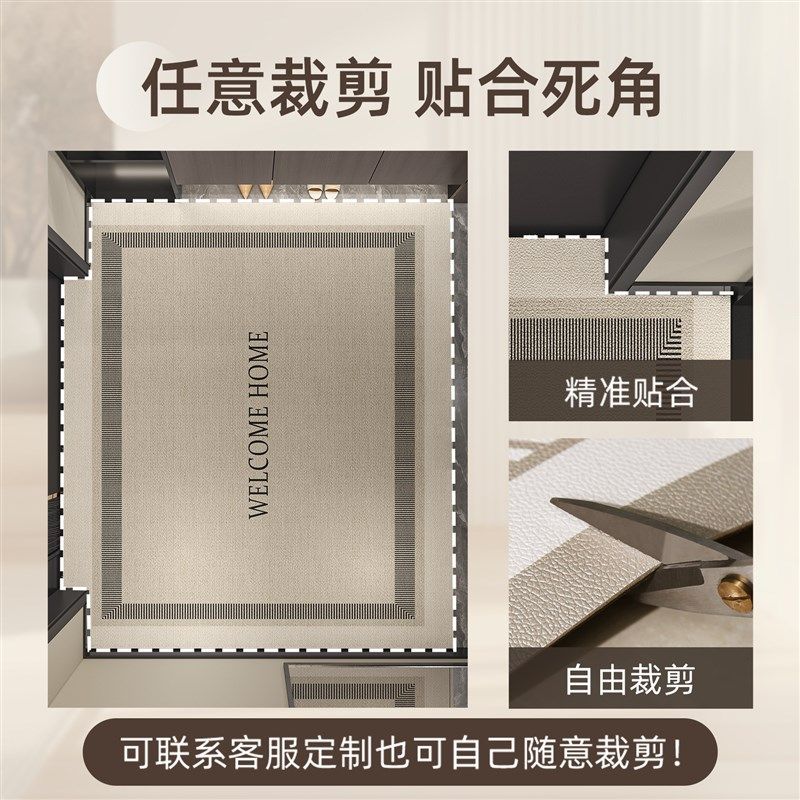 入门户地垫2024新款pvc进门门口耐脏免洗脚垫家用可擦洗门外门垫