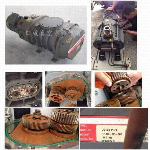 爱德华GV160/GV250/GV80/QDP80干式真空泵维修保养