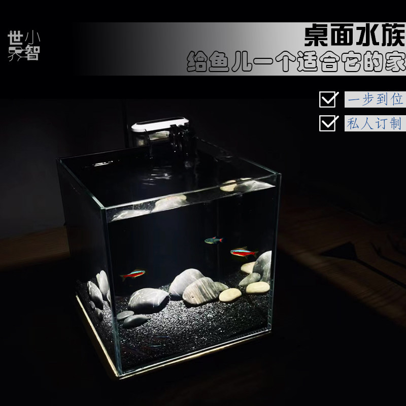 小智世界迷你小型桌面精致超白造景鱼缸全套定制水族箱20方石景缸,宠物/宠物食品及用品,桌面缸,淘宝优惠券,粉丝福利购,淘宝优惠卷
