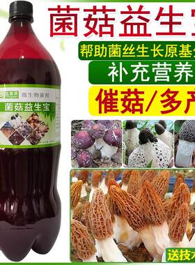 益富源菌菇益生宝姬松茸巴西菇营养液竹荪香菇催菇羊肚菌蘑菇球盖