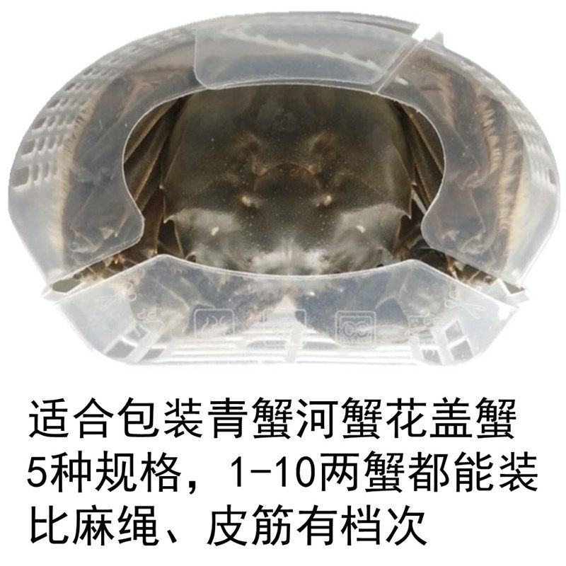 河蟹青蟹花盖蟹盒包装盒礼品盒固定器捆绑器螃蟹别墅速装器免捆绑
