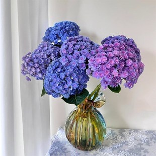 精选重瓣绣球鲜花水养鲜切花瓶插花稀有重瓣绣球鲜花云基地直发