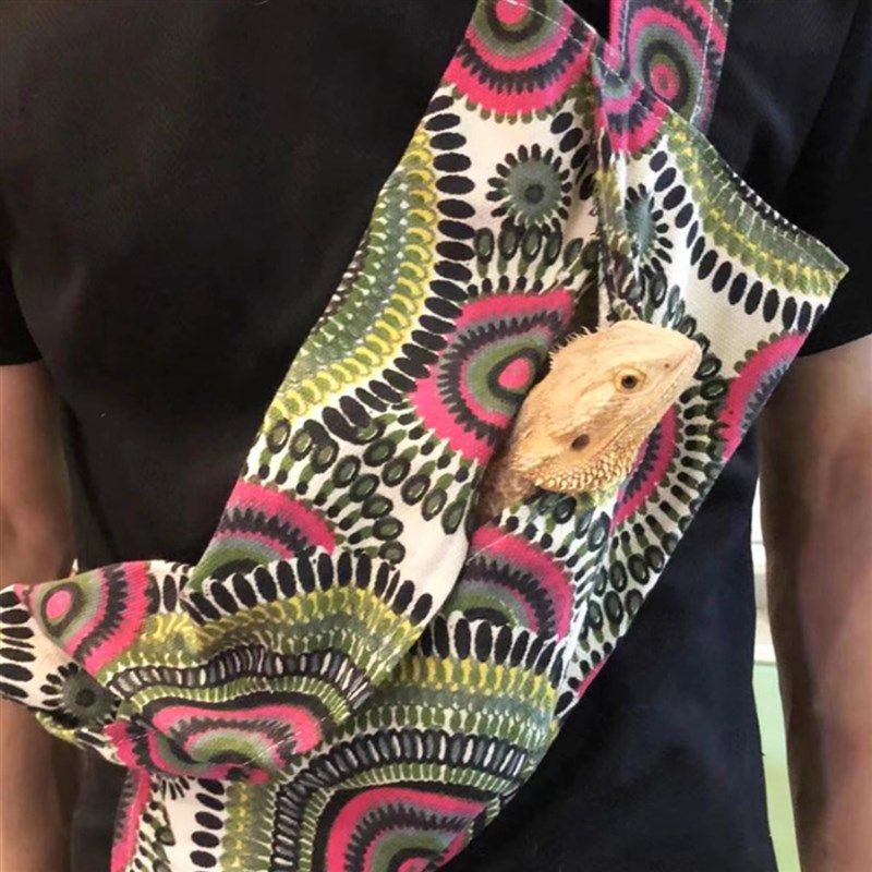 爬宠外出包睫角守宫蜥蜴变色龙鬃狮蓝舌蜥外带包爬虫角蛙旅行背包,宠物/宠物食品及用品,爬宠清洁及日用品,淘宝优惠券,粉丝福利购,淘宝优惠卷