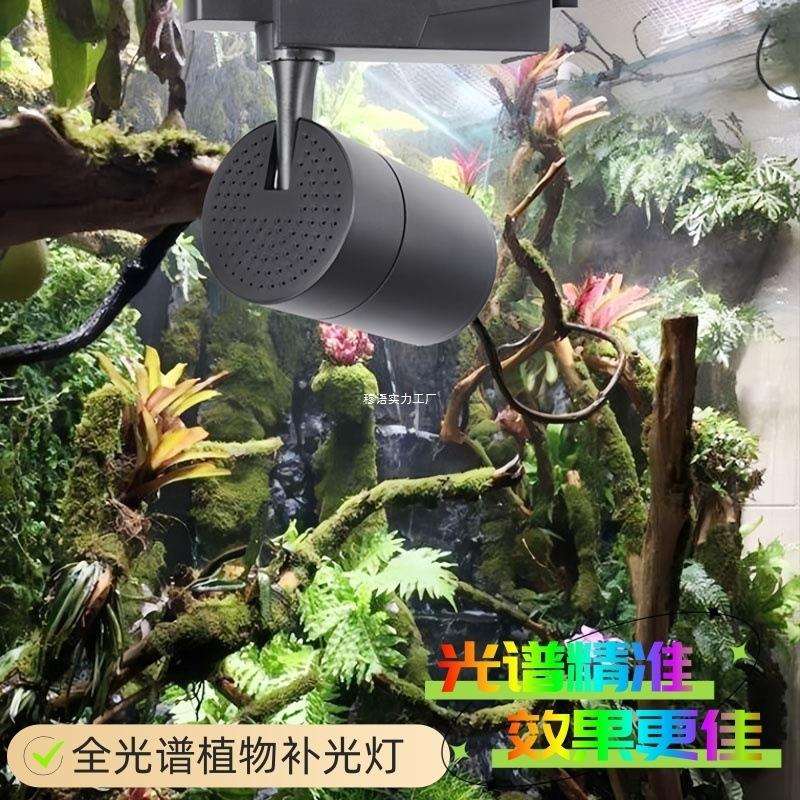 led全光谱植物多肉生长灯雨林缸造景灯水陆水草苔藓轨道补光射灯