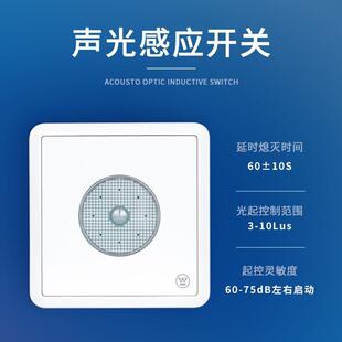西屋(Westinghouse)维悠系列W2智能感应声光控开关延时熄灯通用