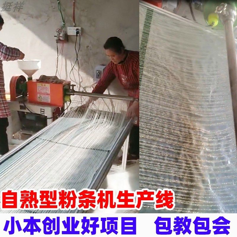 红薯粉小机土用条型全自动做红薯粉机子红苕家豆加工压打粉条机器