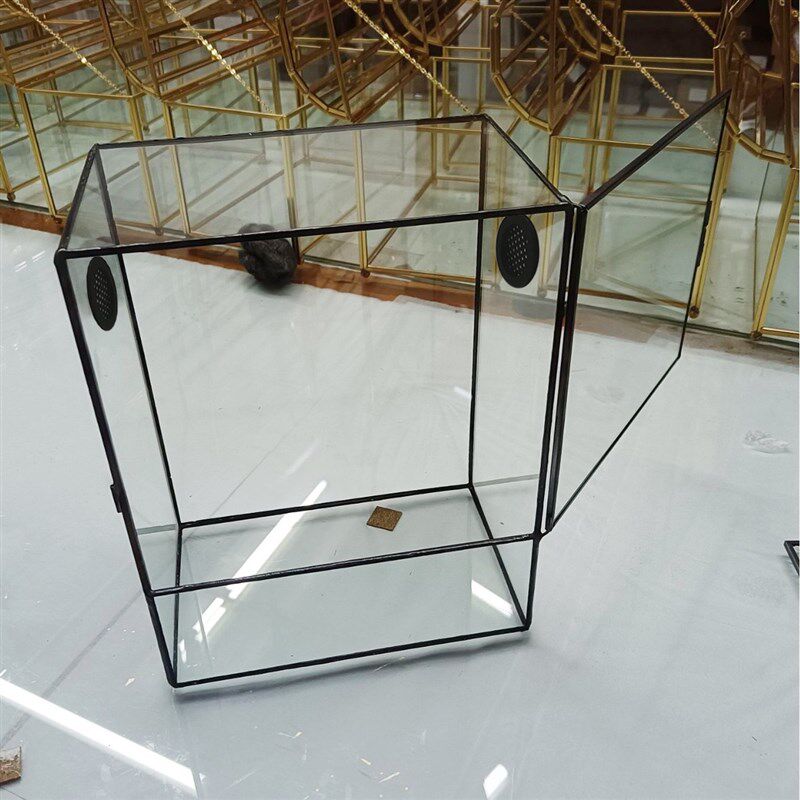 黑色铜条微带观花璃玻房小型鱼缸景门苔藓容器多边形多肉玻璃瓶
