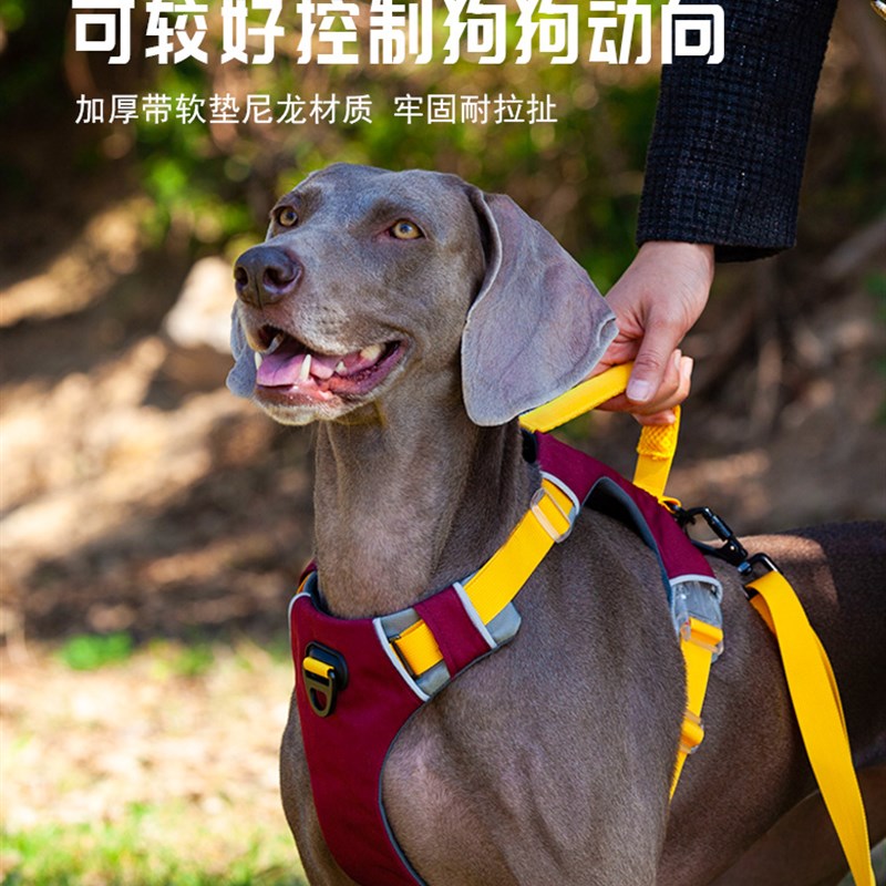 新款热卖狗狗胸抱婴袋防爆冲伸提拉狗狗牵引绳胸背式胸缩狗抱婴袋