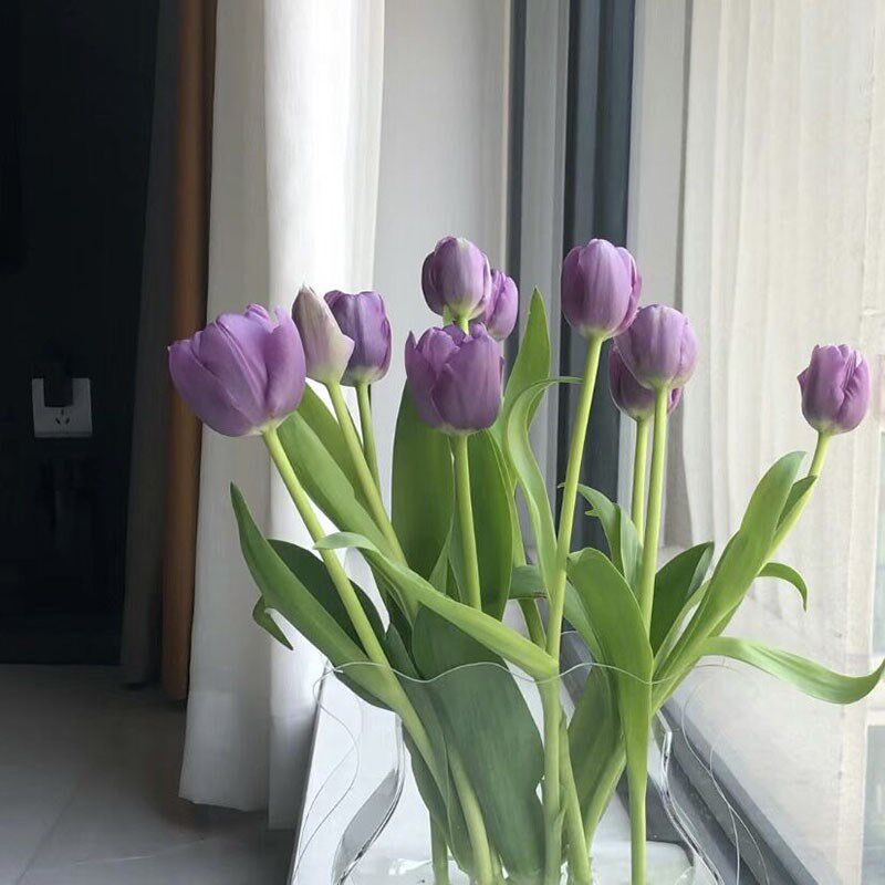 冬日一帘茶梦紫色郁金香鲜花家居办公餐桌幽几装饰插花务商送花