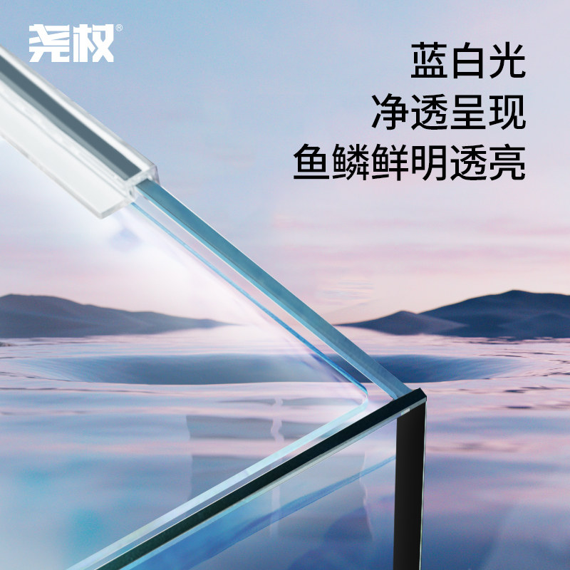 背滤鱼缸小型桌面超白缸三湖慈鲷缸原生缸南美缸造景水族箱