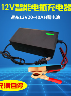 12V电瓶充电器12伏20AH32AH36AH铅酸蓄电池充电机智能修复通用型