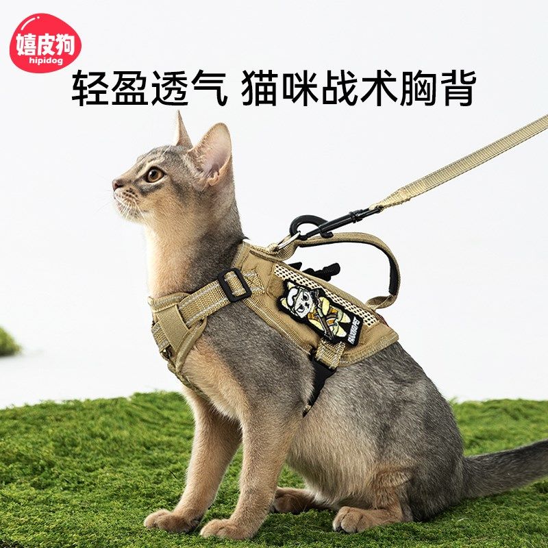 猫咪牵引绳防挣脱外出专用背心式遛猫绳子胸背带可调节宠物溜猫绳,宠物/宠物食品及用品,猫牵引绳,淘宝优惠券,粉丝福利购,淘宝优惠卷