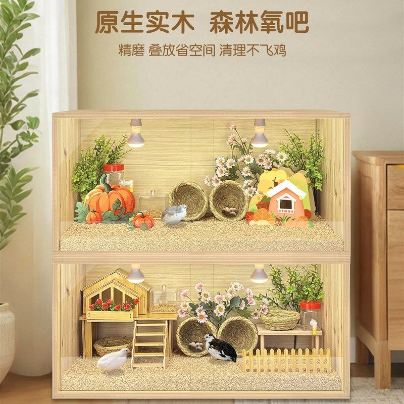 芦丁鸡饲养箱专用笼子小鸡育雏保温箱恒温造景小屋家用卢丁鸡养箱,宠物/宠物食品及用品,宠物鸡/鸭/鸽笼,淘宝优惠券,粉丝福利购,淘宝优惠卷