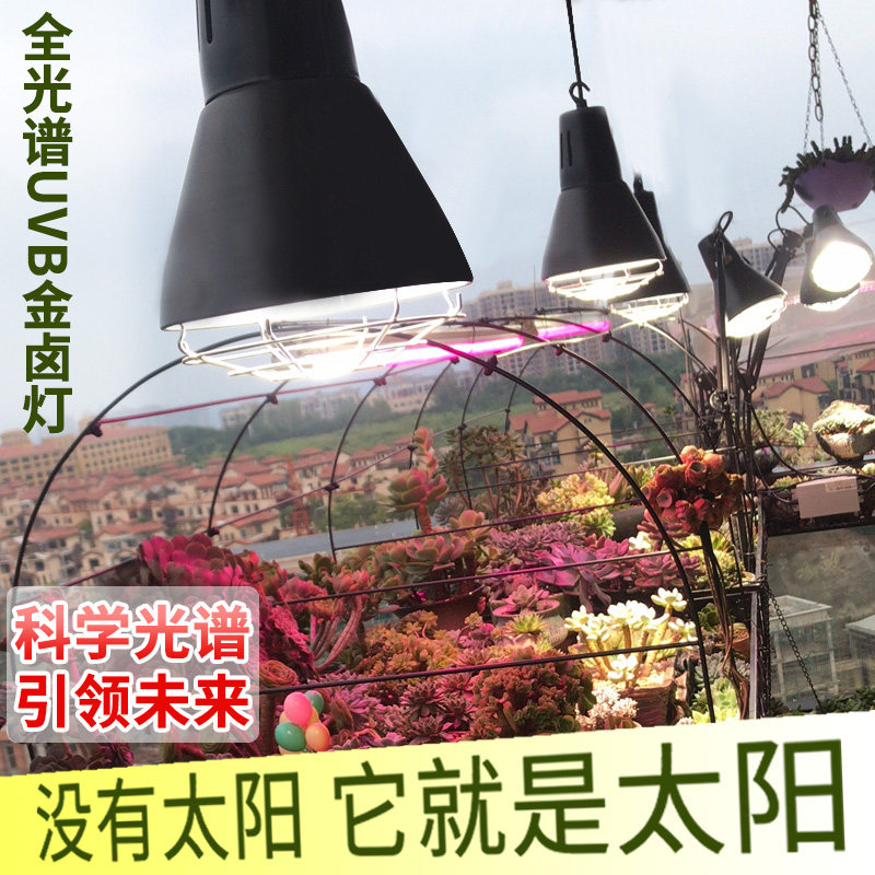 多肉补光全光谱uvb植卤外70瓦紫灯爆澡仿太阳防徒上色金物生长灯