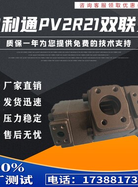 液压油泵PV2R13-31-116-F-RAA-43 双联叶片泵 76 66 94 19 23 31