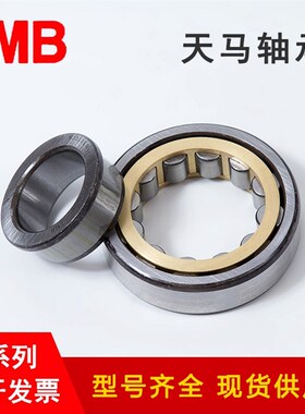 国产TMB天马减速机轴承 RJ211 212 213 214 215 216EM