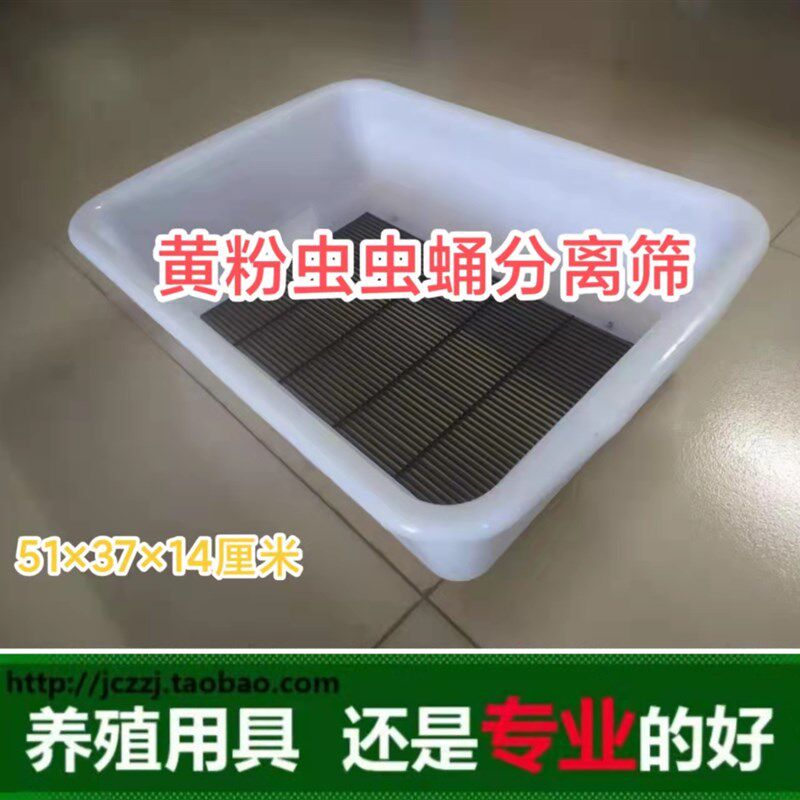 黄粉虫虫蛹分离筛 黄粉虫产卵筛 黄粉虫养殖盒 蛋白虫产卵筛